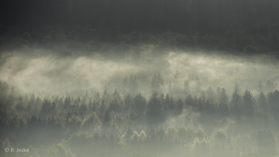 Morgens im Taunus