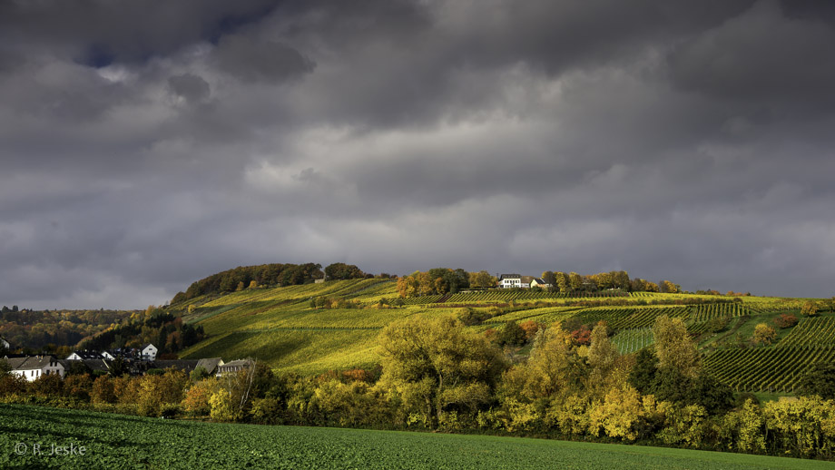 Herbst im Rheingau