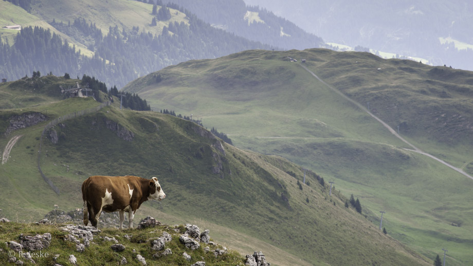 Kitzbühler Alpen